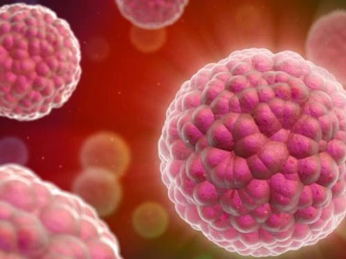 Tỉ lệ tử vong do một số loại ung thư lại tăng ở các nước kém phát triển